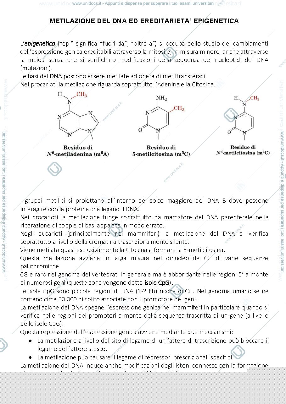 Anteprima pagina 1 — METILAZIONE DEL DNA ED EREDITARIETA’ EPIGENETICA