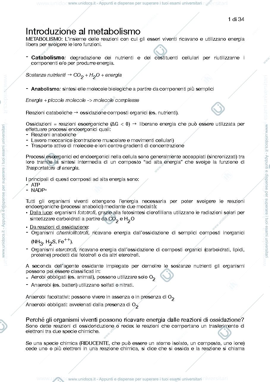 Anteprima pagina 1 — Introduzione al metabolismo, glicolisi, gluconeogenesi, ciclo di krebs
