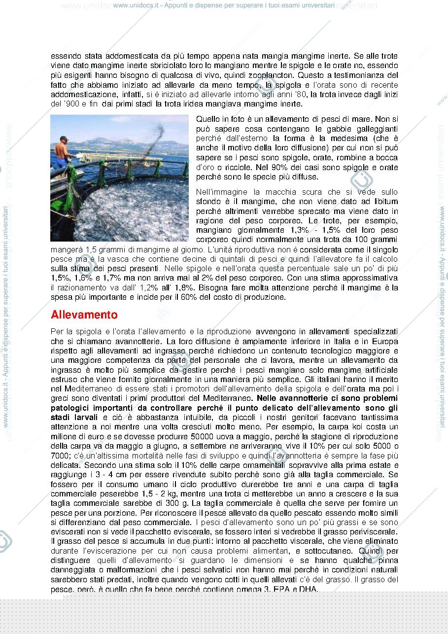 Anteprima pagina 2 — sbobine acquacoltura