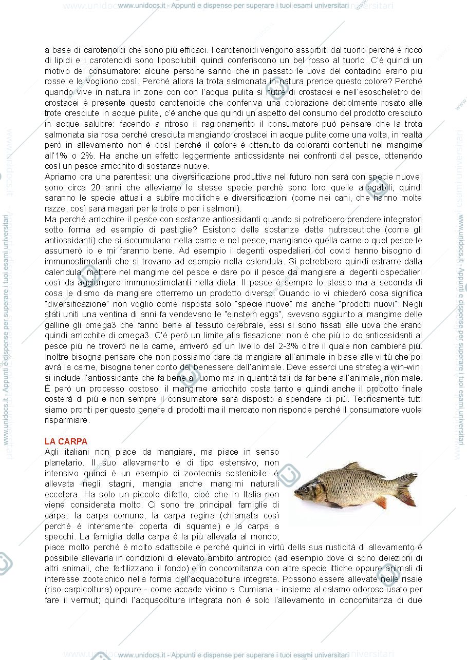 Anteprima pagina 2 — sbobine acquacultura