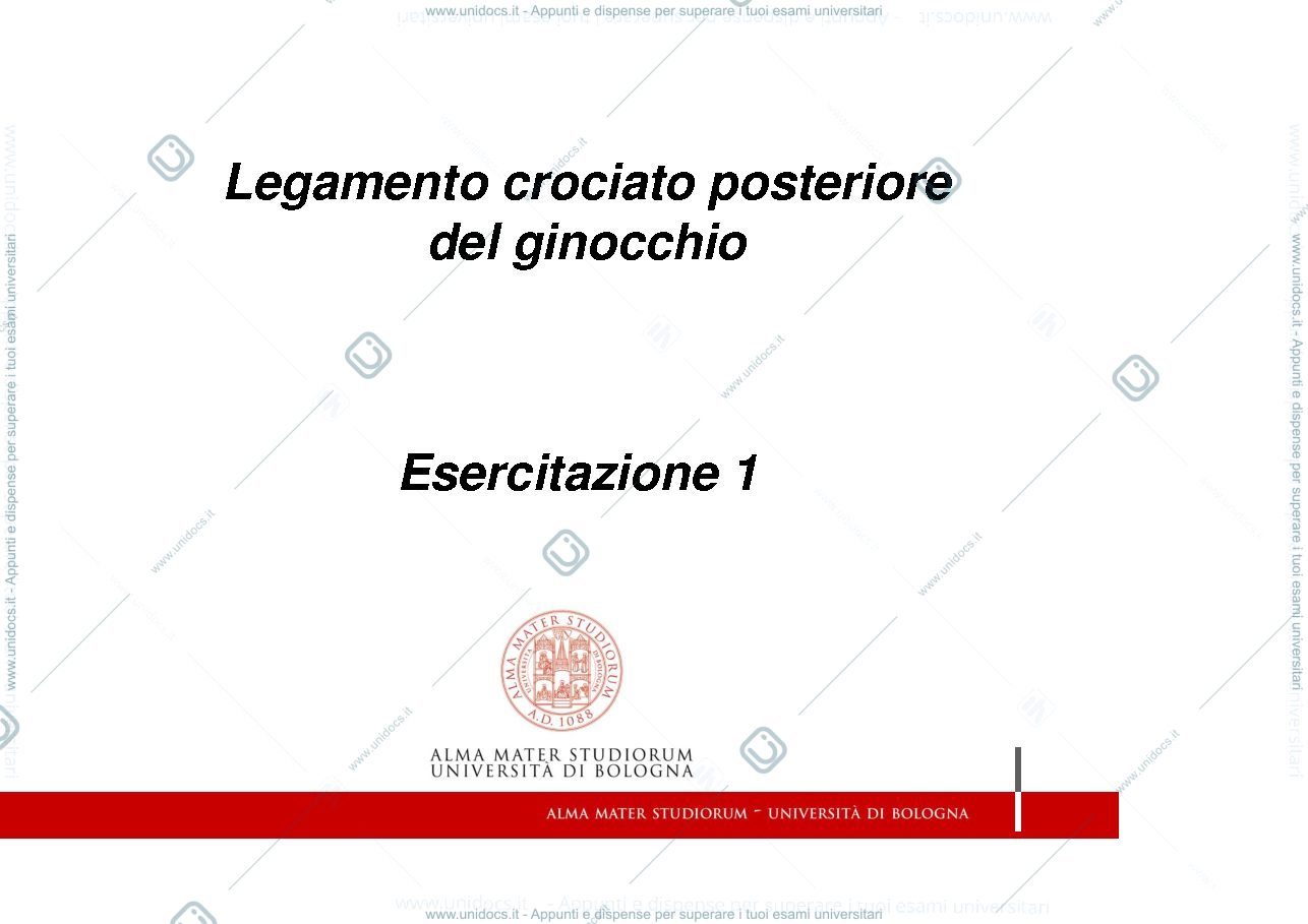 Anteprima pagina 1 — Esercitazione 1