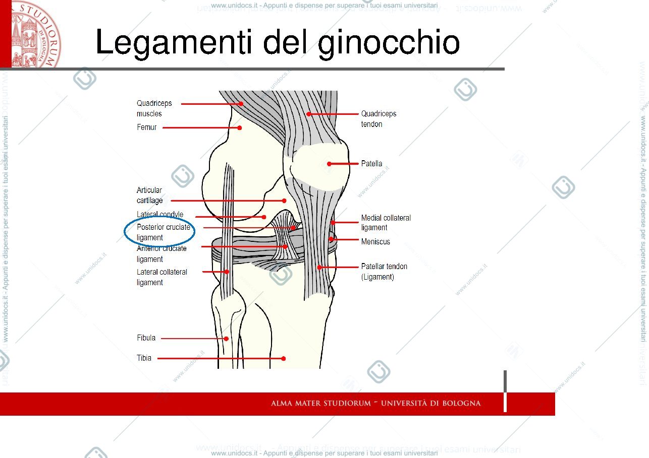 Anteprima pagina 2 — Esercitazione 1