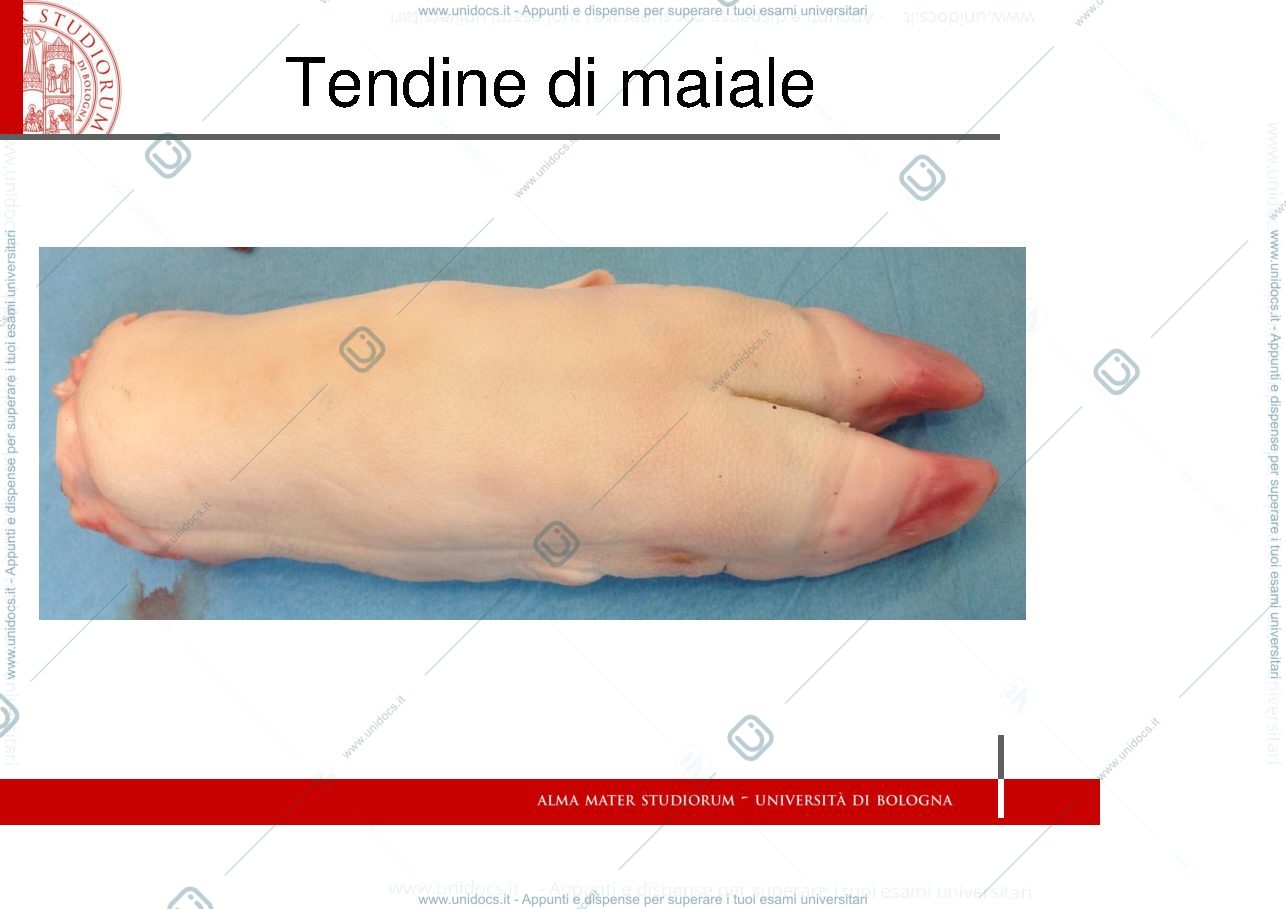 Anteprima pagina 2 — Esercitazione 2