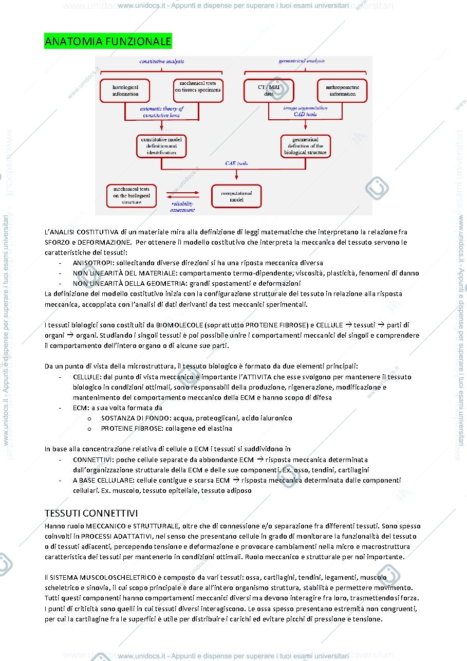 Anteprima pagina 1 — Anatomia funzionale