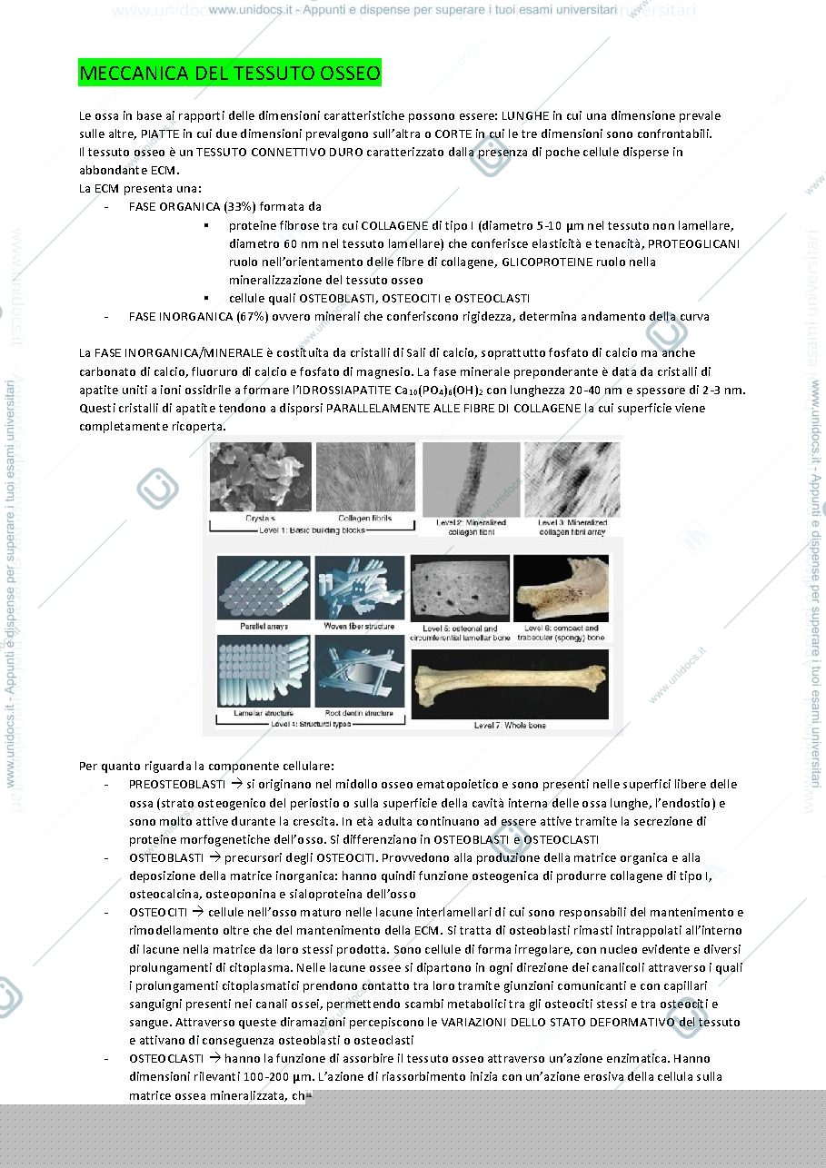 Anteprima pagina 4 — Anatomia funzionale