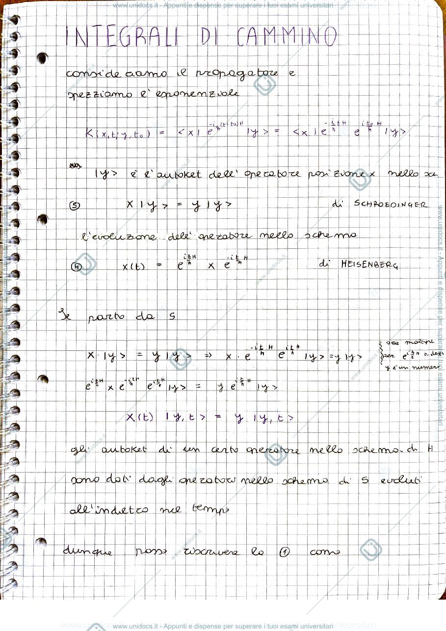 Anteprima pagina 1 — Integrali di cammino
