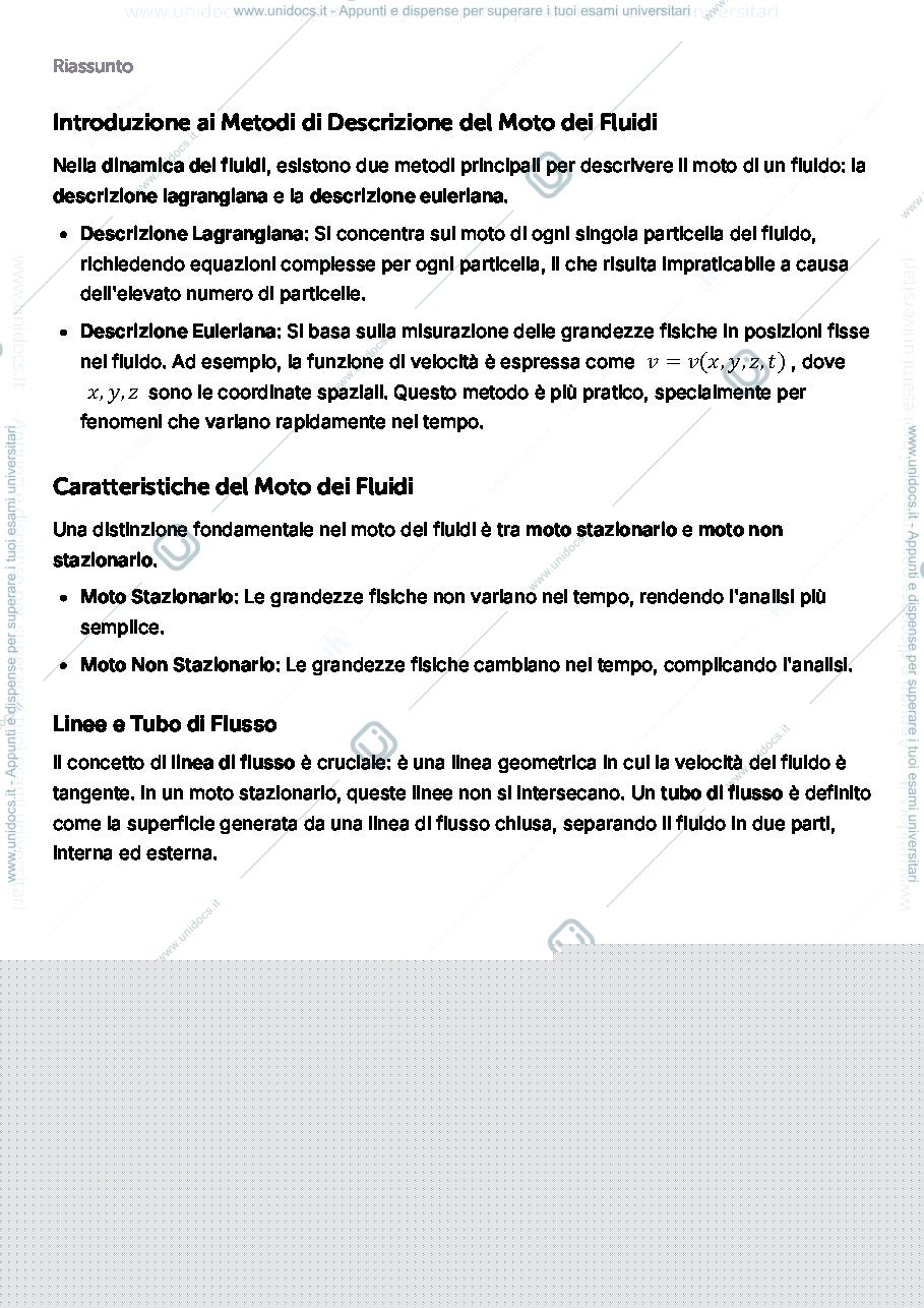 Anteprima pagina 1 — DINAMICA DEI FLUIDI E TEOREMA DI BERNOULLI