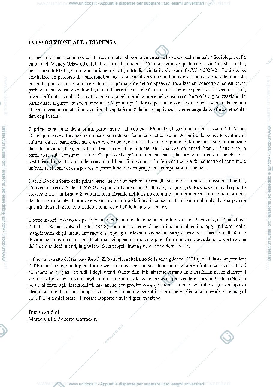 Anteprima pagina 2 — Media digitali e consumi