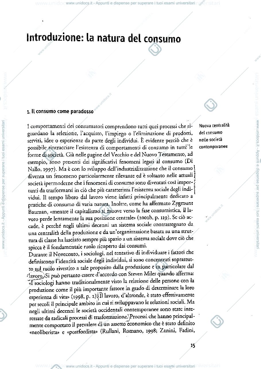Anteprima pagina 5 — Media digitali e consumi