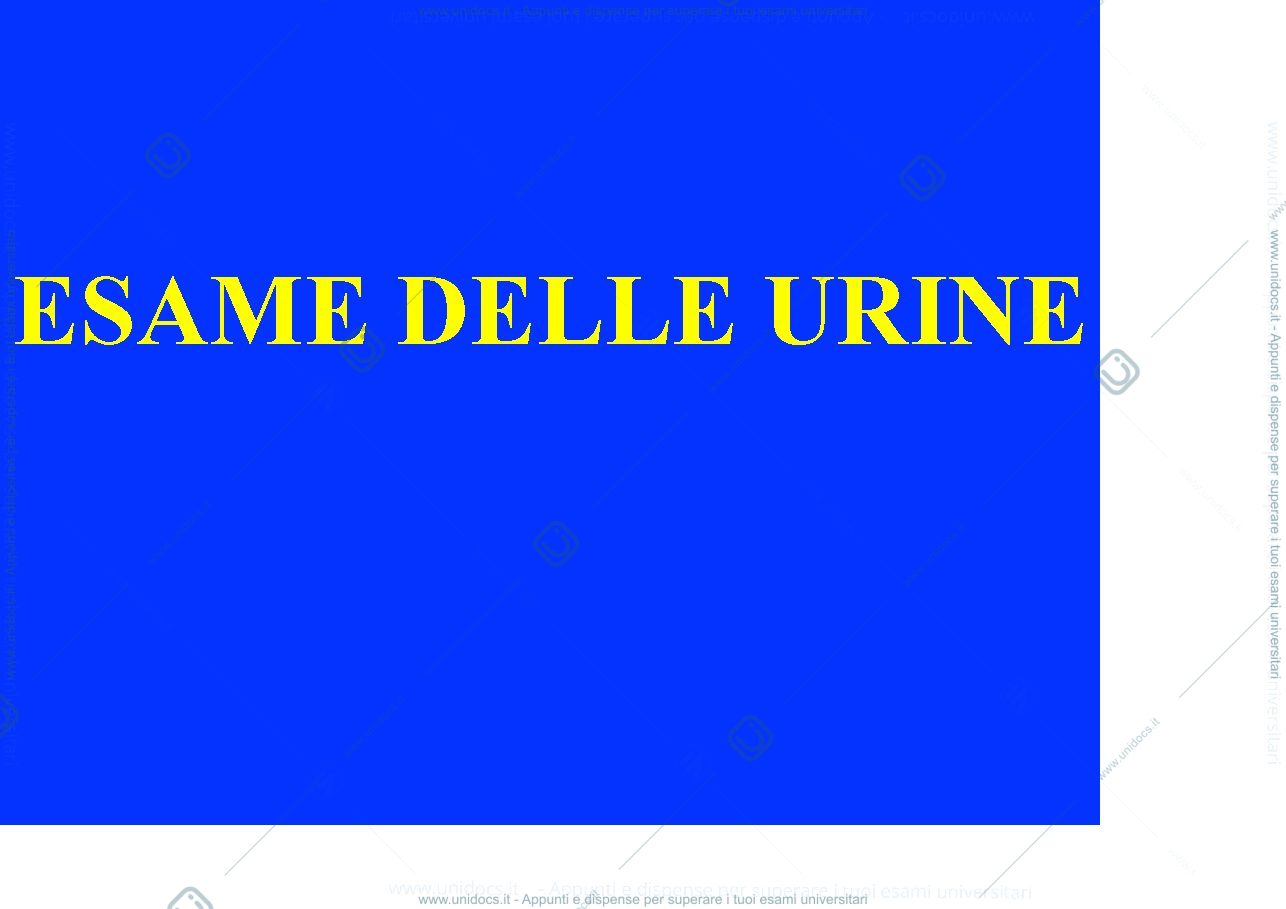 Anteprima pagina 1 — esame urine