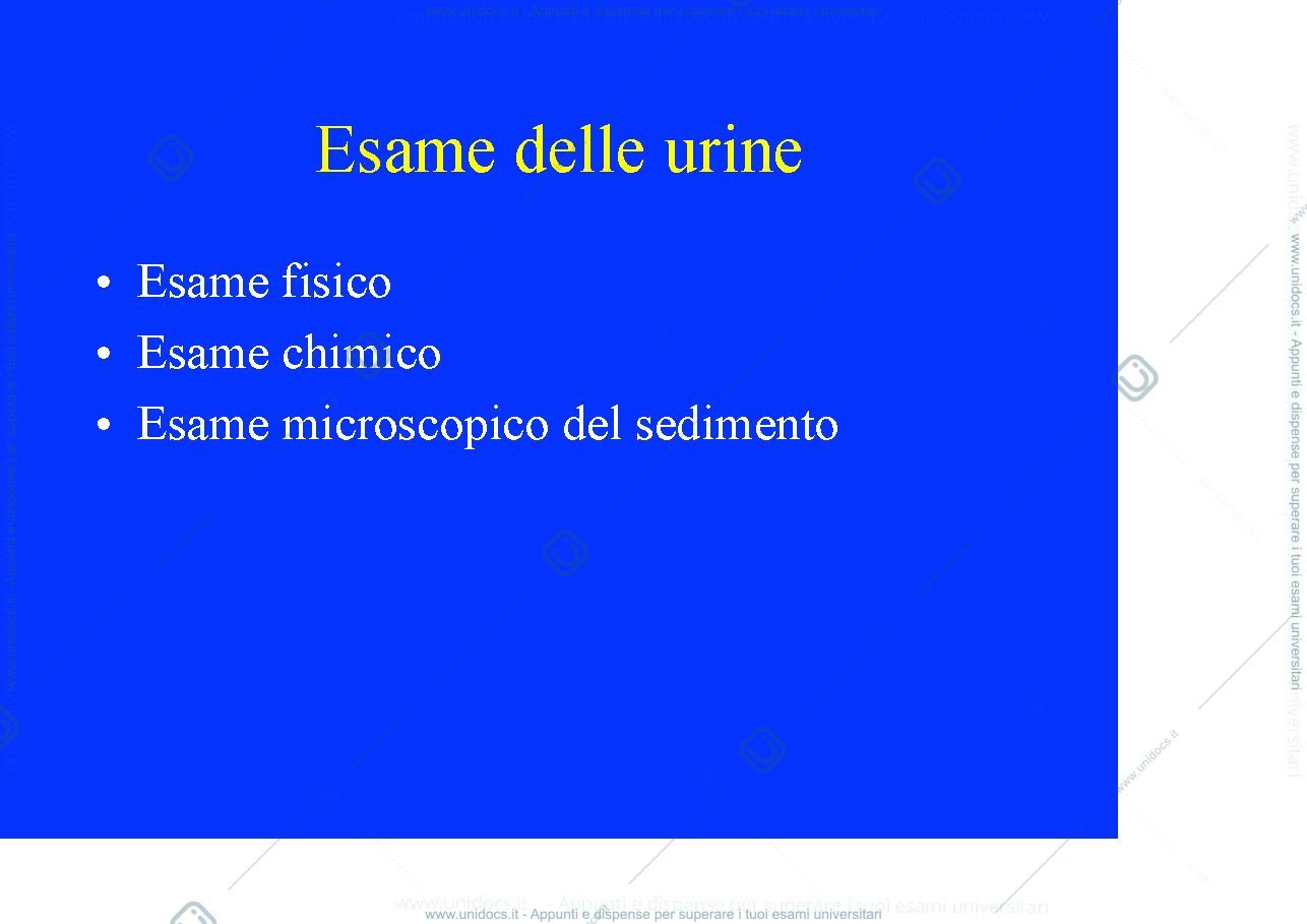 Anteprima pagina 2 — analisi delle urine