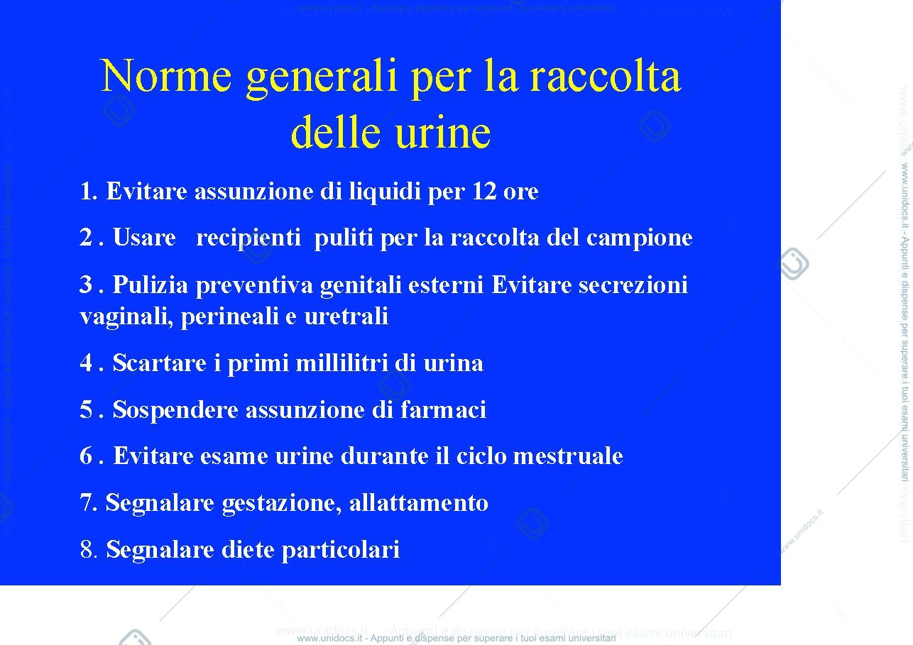 Anteprima pagina 3 — analisi delle urine