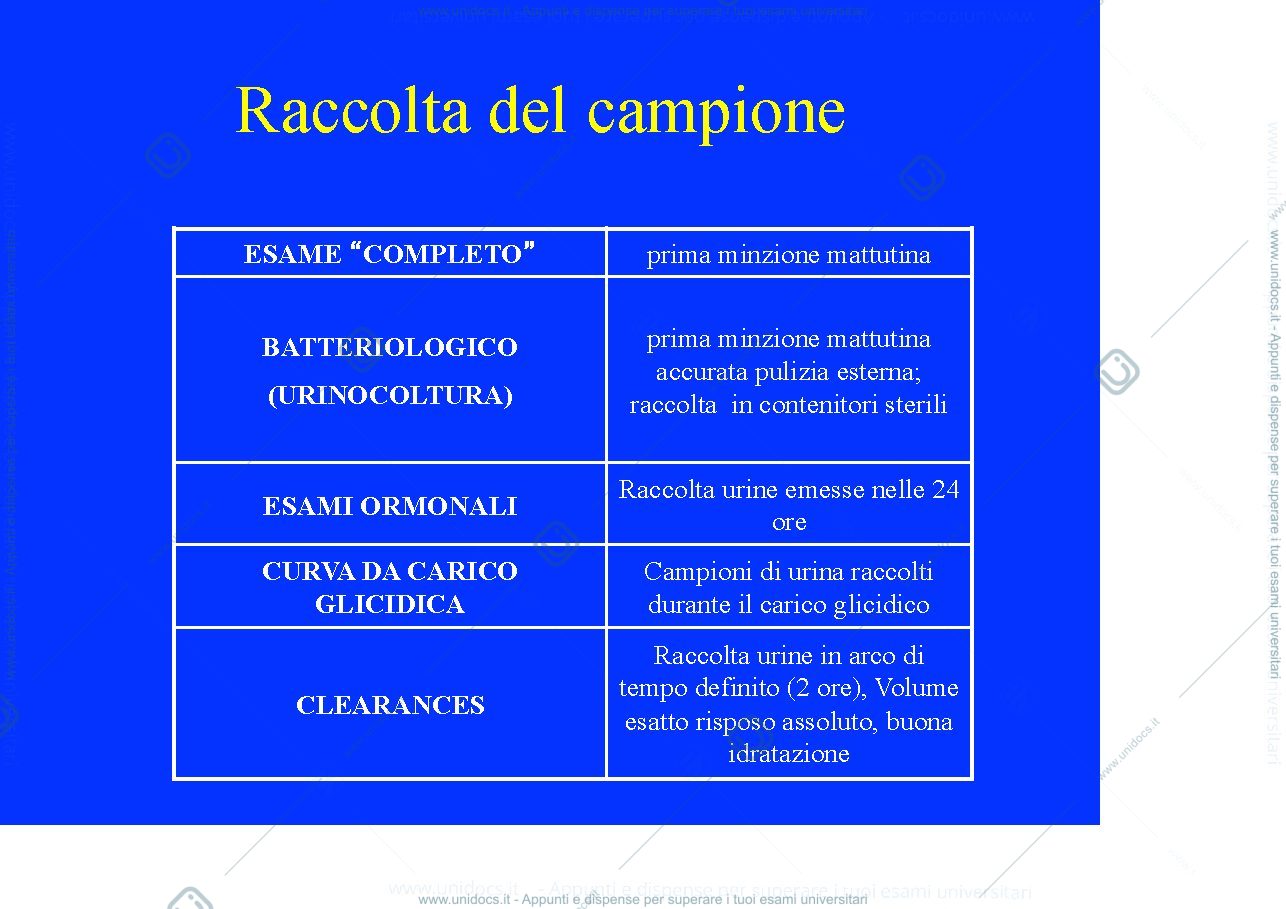 Anteprima pagina 4 — analisi delle urine