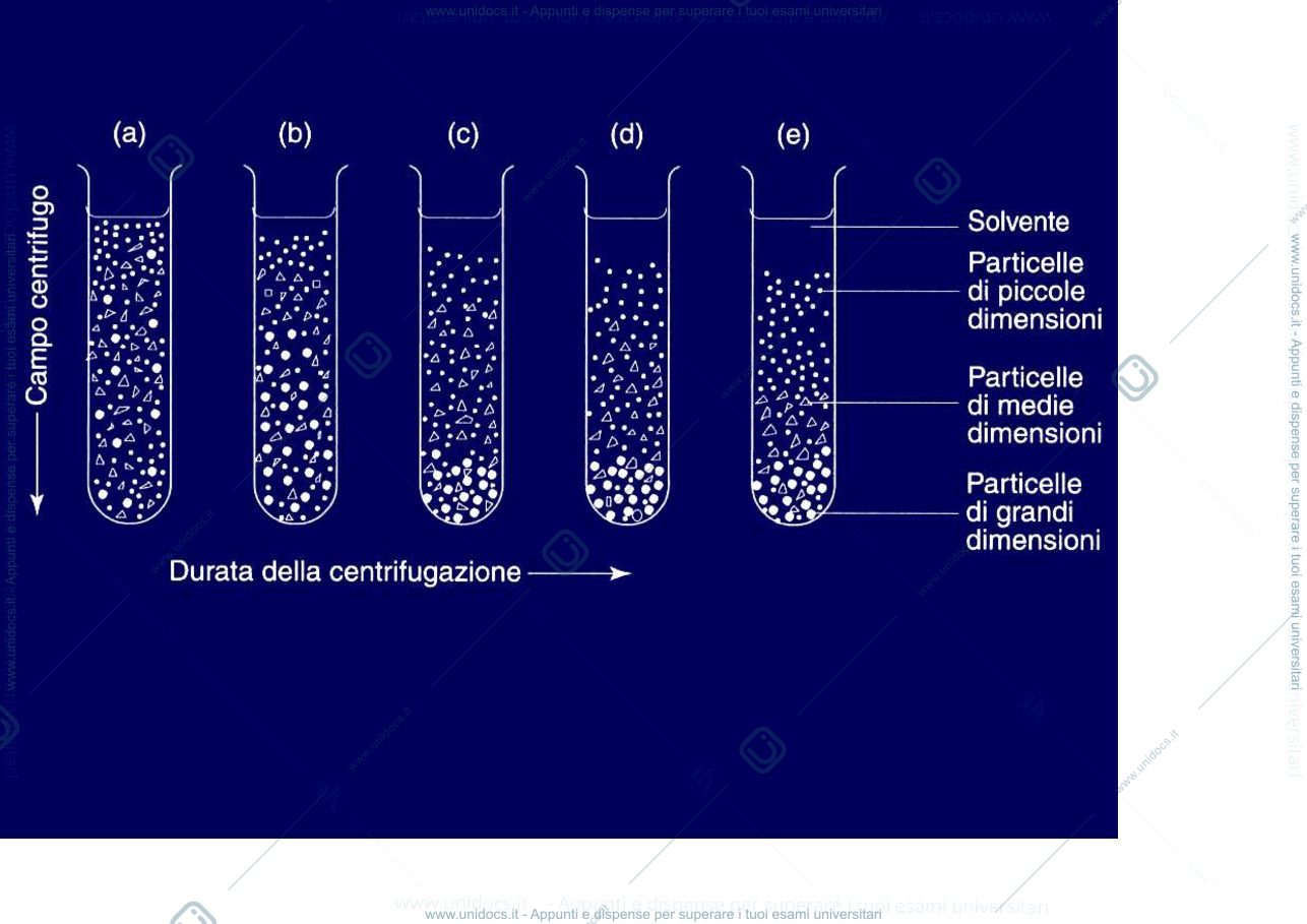 Anteprima pagina 3 —  Tecniche separative
