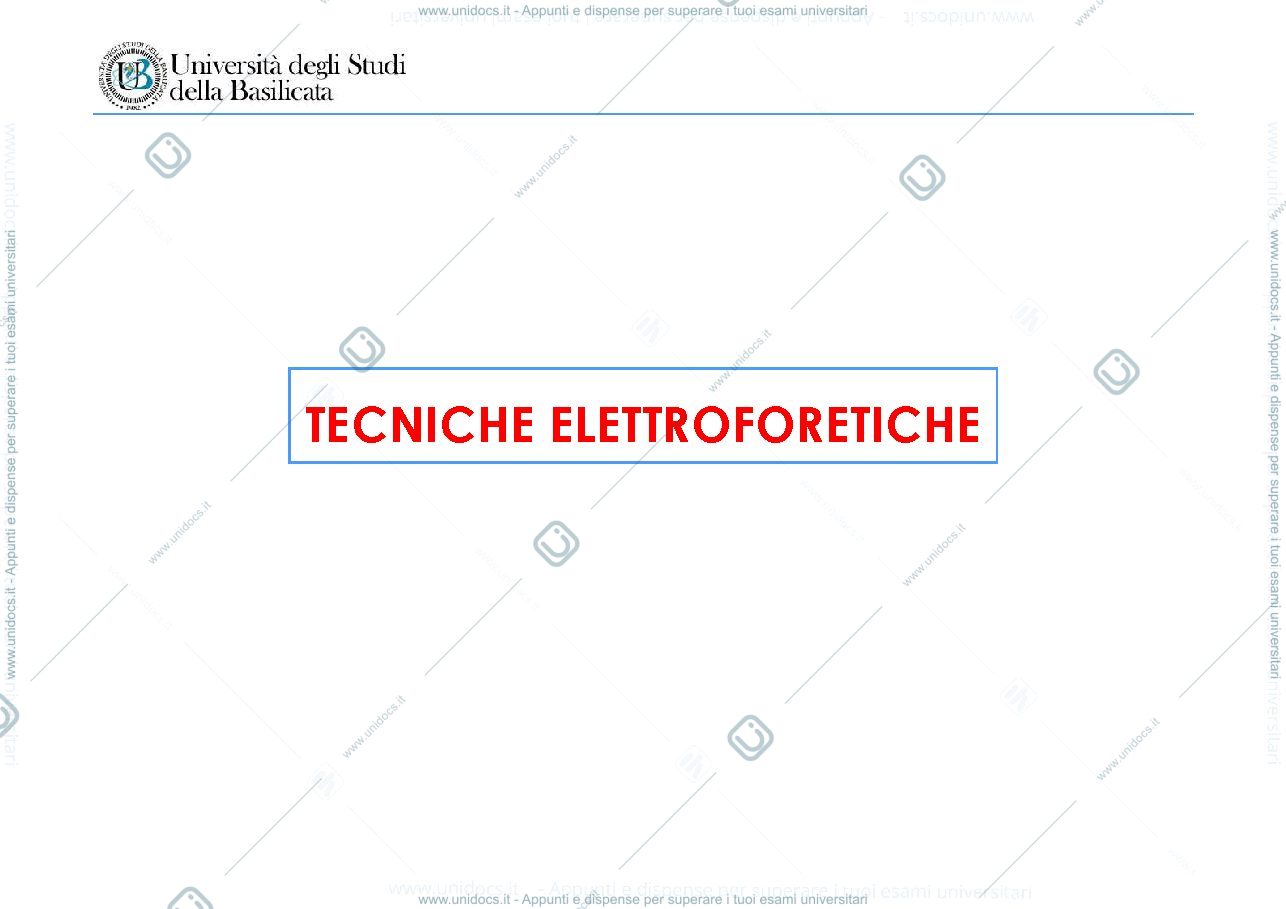 Anteprima pagina 1 — Elettroforesi-