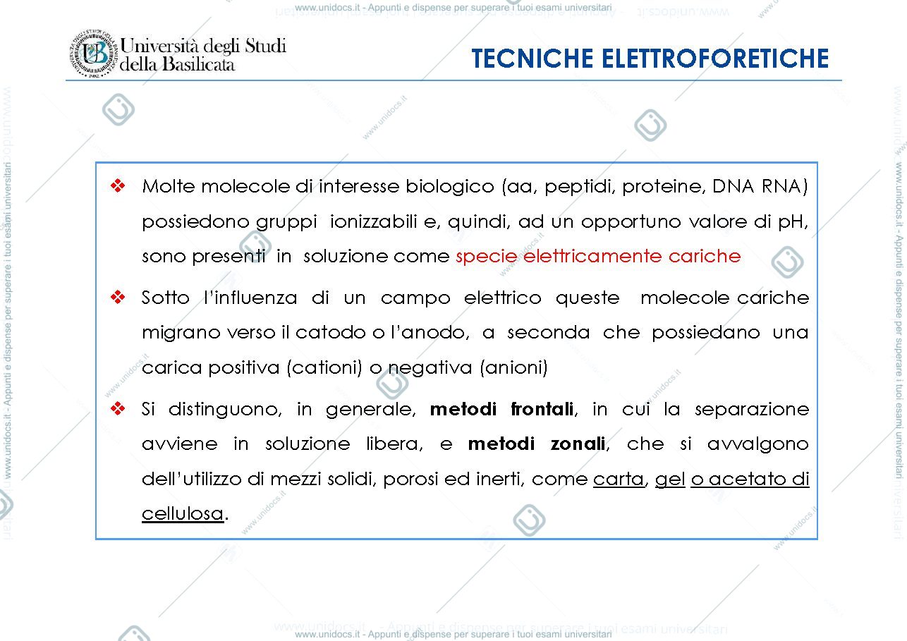 Anteprima pagina 3 — Elettroforesi-