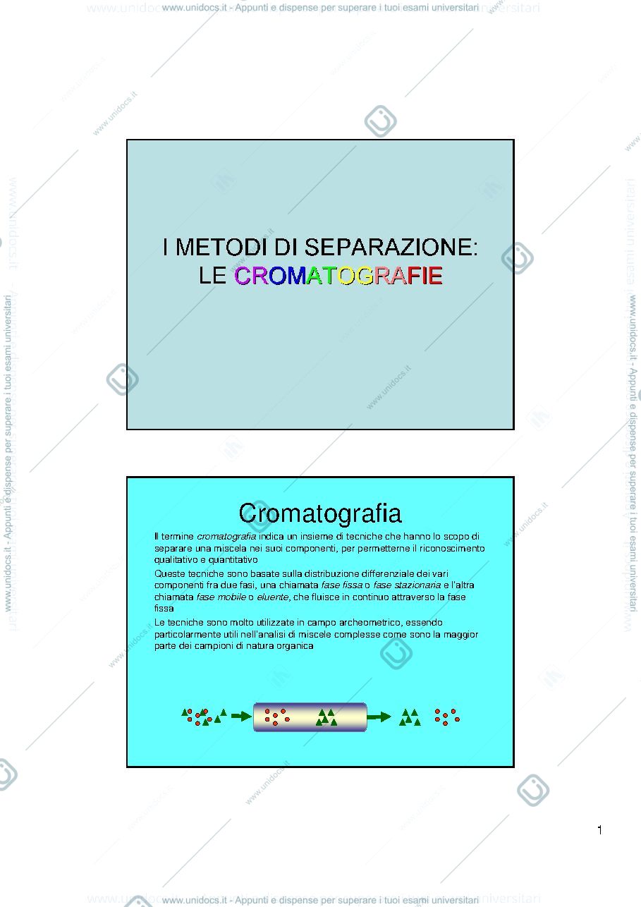 Anteprima pagina 1 — cromatografie