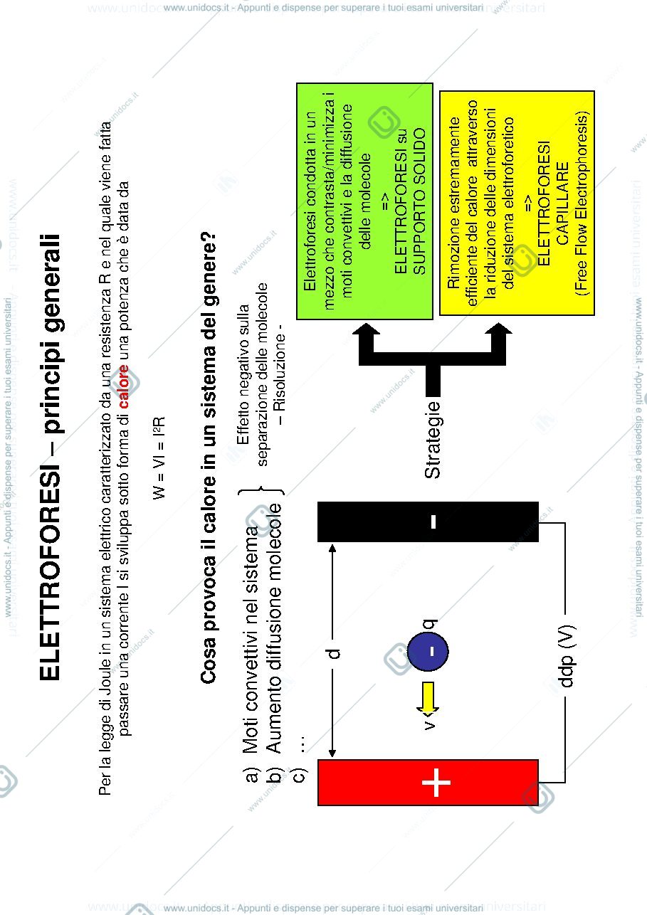 Anteprima pagina 3 — Elettroforesi 1