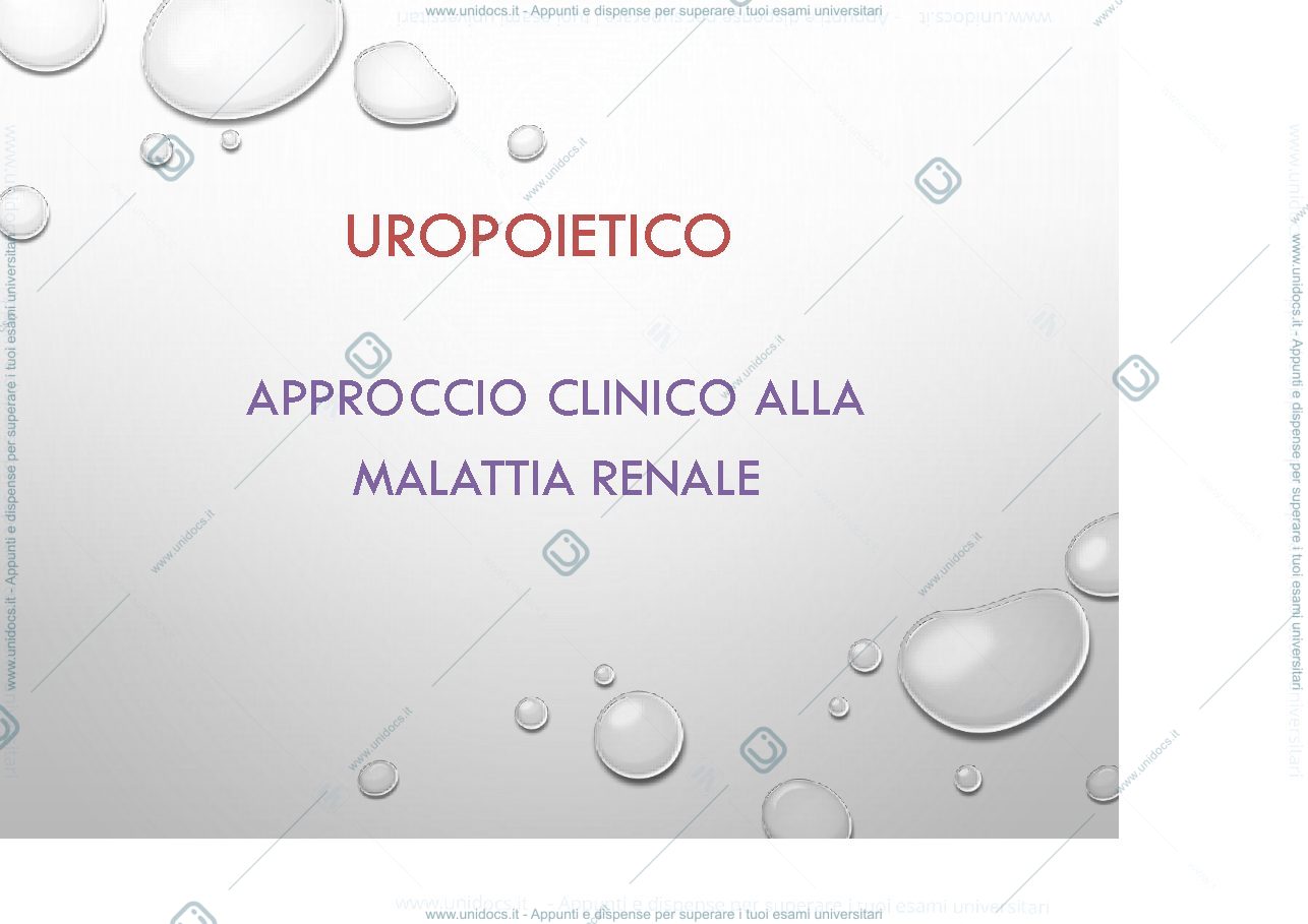 Anteprima pagina 1 — urinario