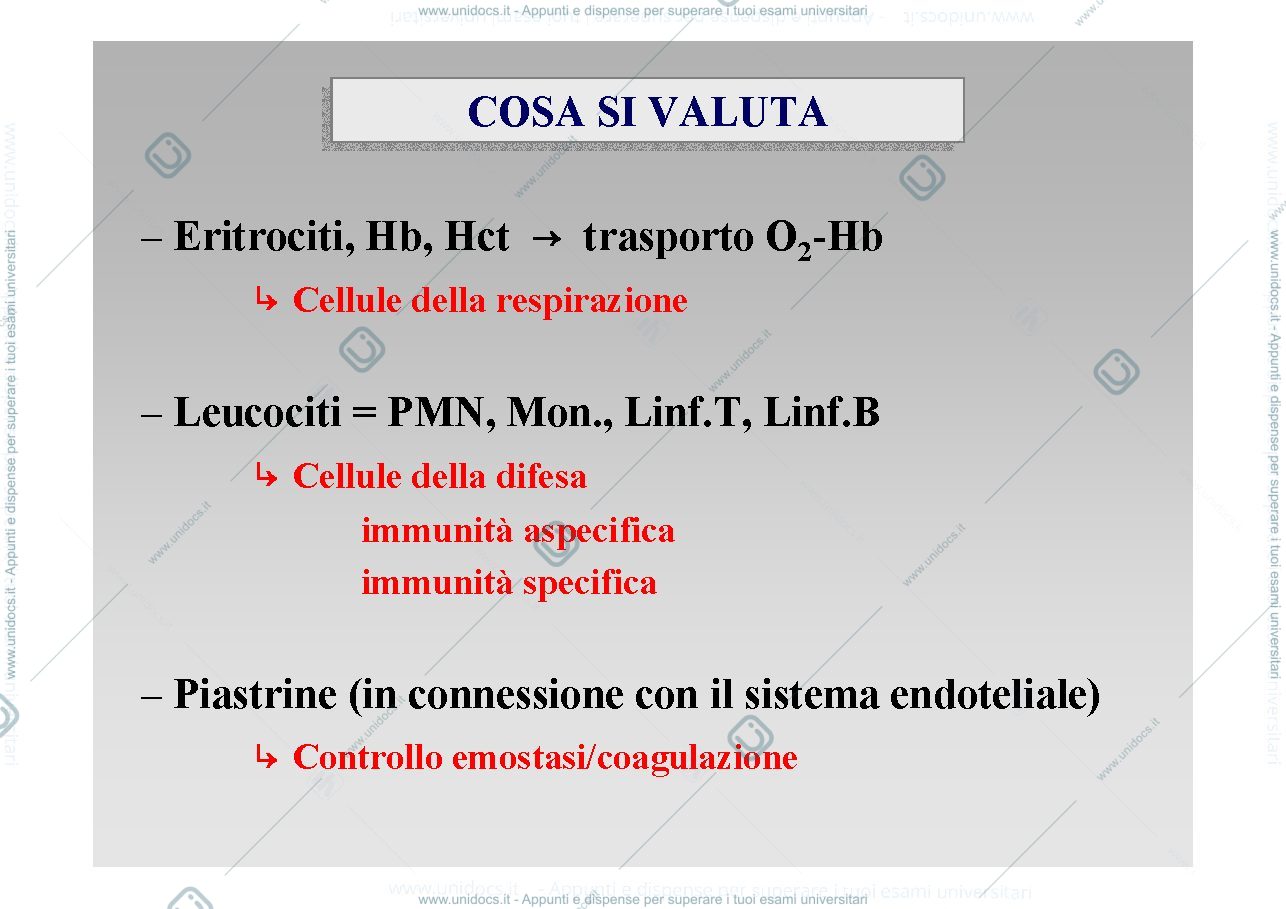 Anteprima pagina 4 — striscio di sangue
