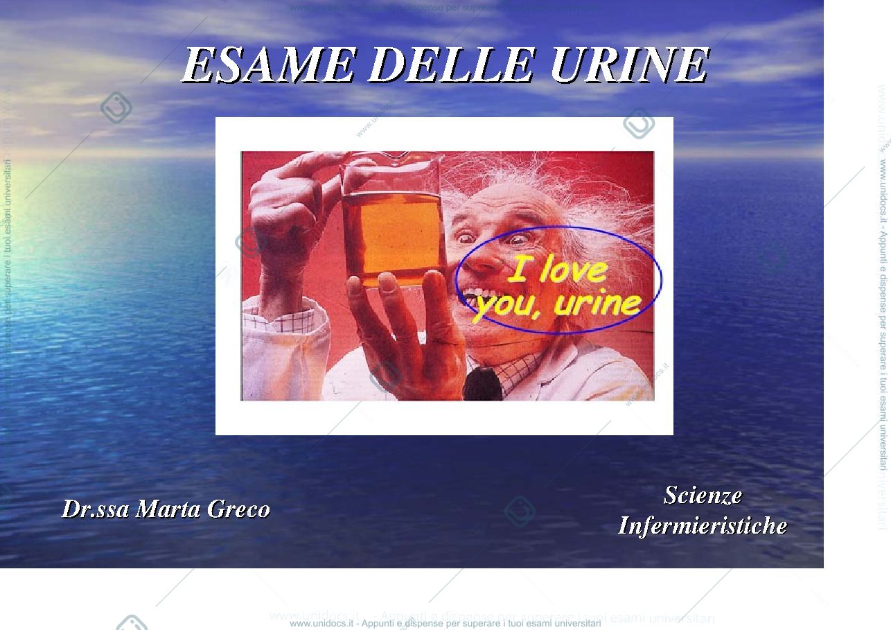 Anteprima pagina 1 — esame chimico fisico delle urine
