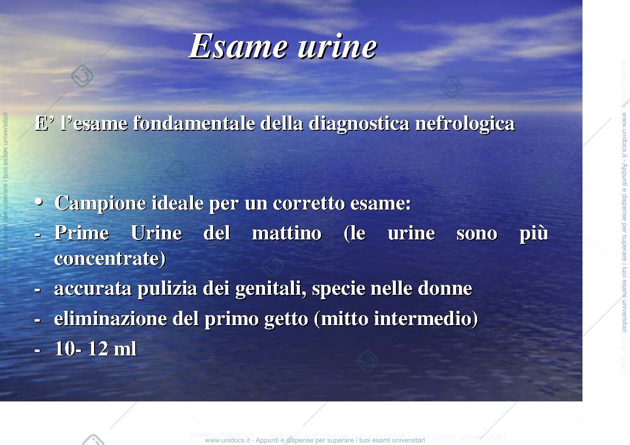 Anteprima pagina 2 — esame chimico fisico delle urine