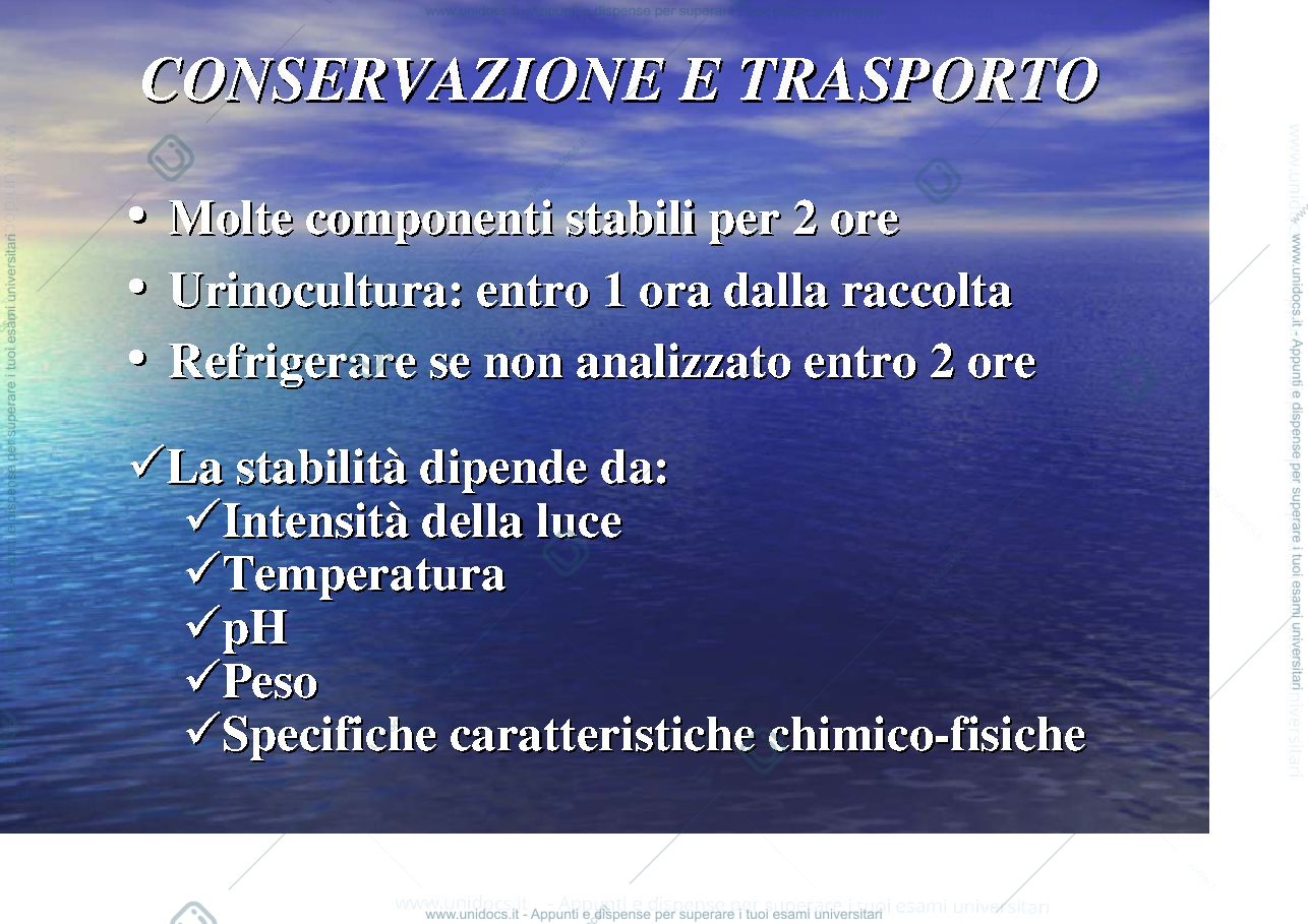 Anteprima pagina 4 — esame chimico fisico delle urine