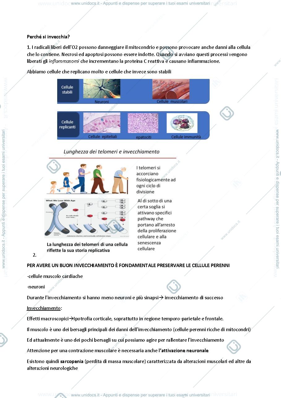 Anteprima pagina 3 — medicina interna