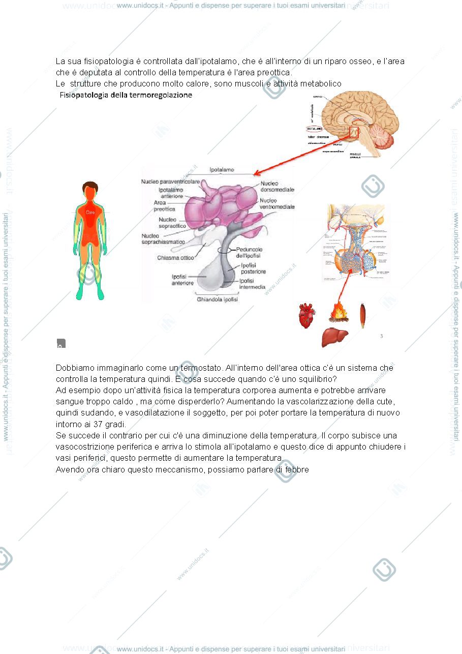 Anteprima pagina 3 — Medicina Interna e Geriatria 