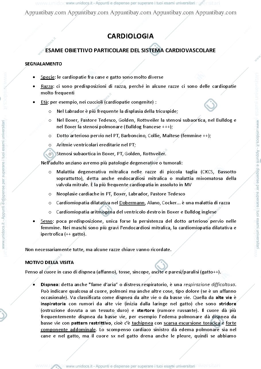 Anteprima pagina 2 — Medicina interna 2 piccoli animali