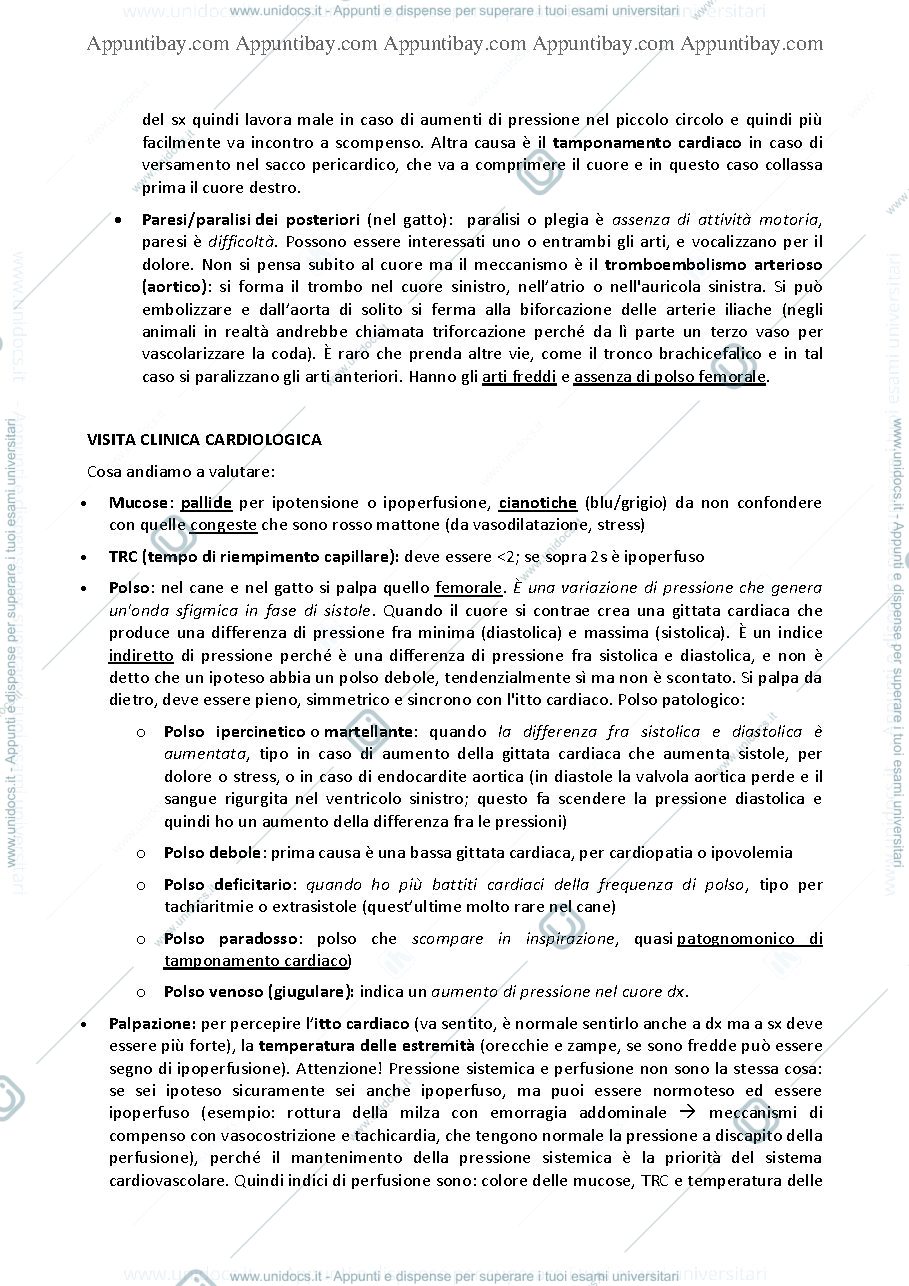 Anteprima pagina 4 — Medicina interna 2 piccoli animali