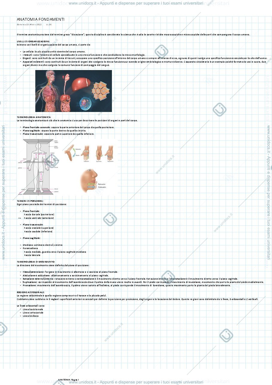 Anteprima pagina 1 — ANATOMIA PONTEDERA MORUCCI