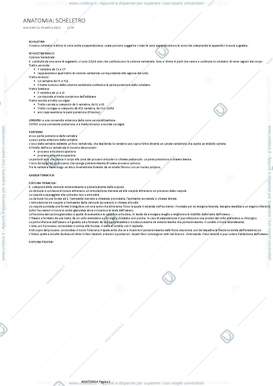 Anteprima pagina 3 — ANATOMIA PONTEDERA MORUCCI