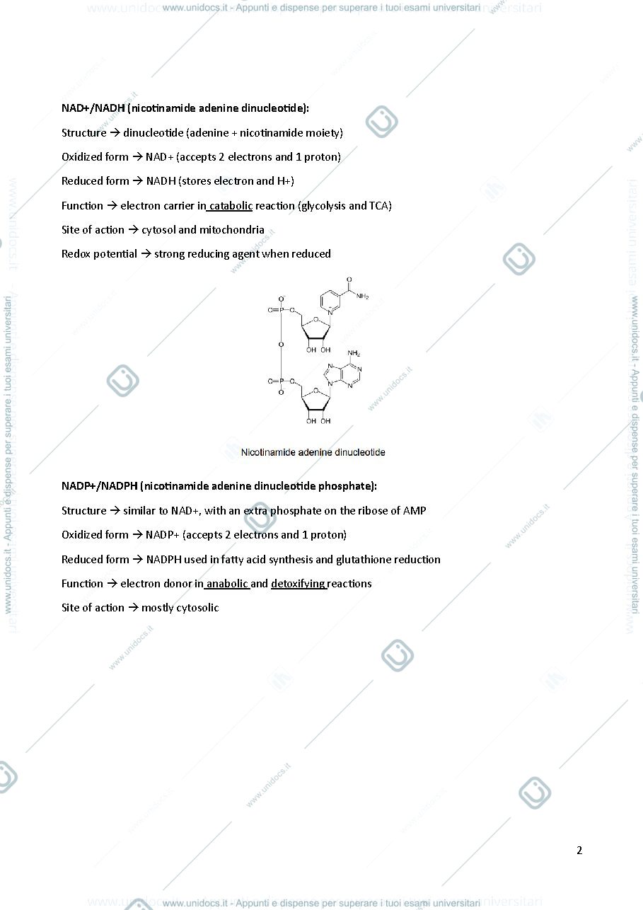 Anteprima pagina 2 — METABOLIC BIOCHEMISTRY 
