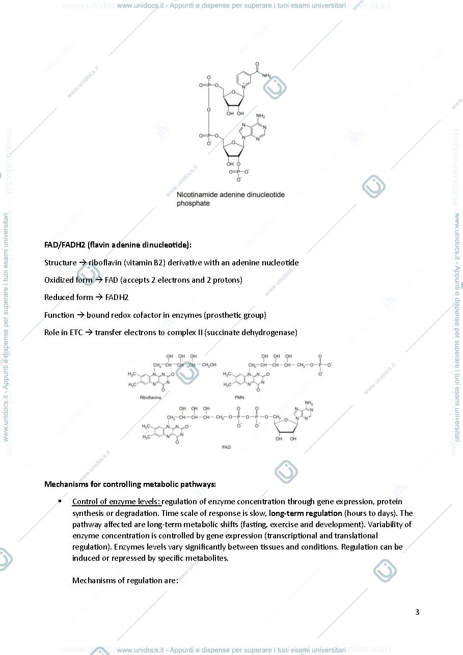 Anteprima pagina 3 — METABOLIC BIOCHEMISTRY 