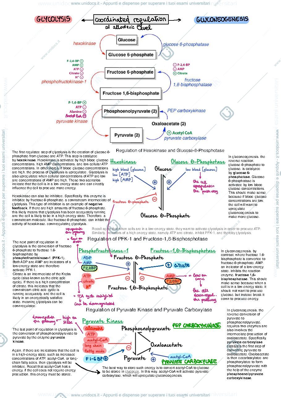 Anteprima pagina 2 — Metabolomics