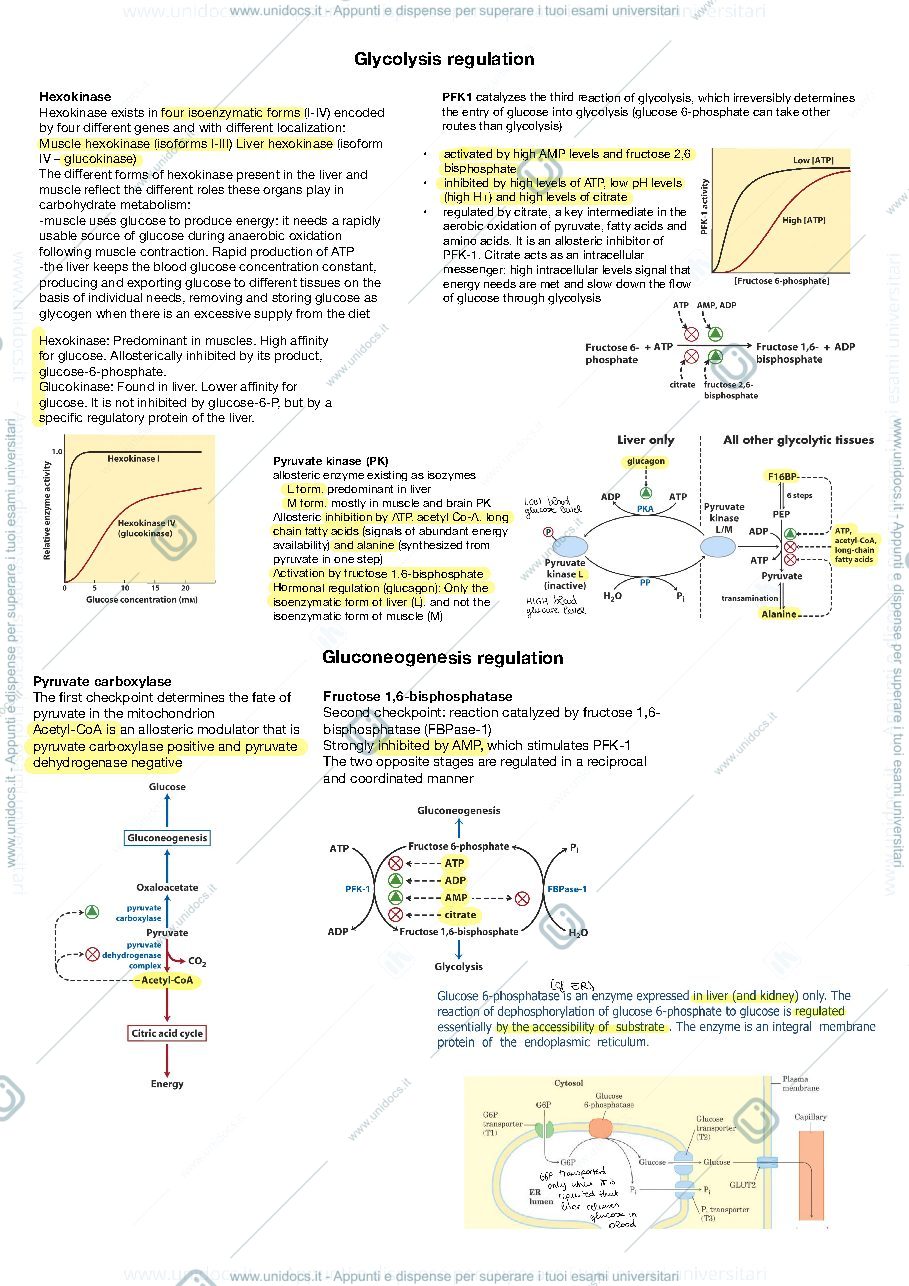 Anteprima pagina 3 — Metabolomics