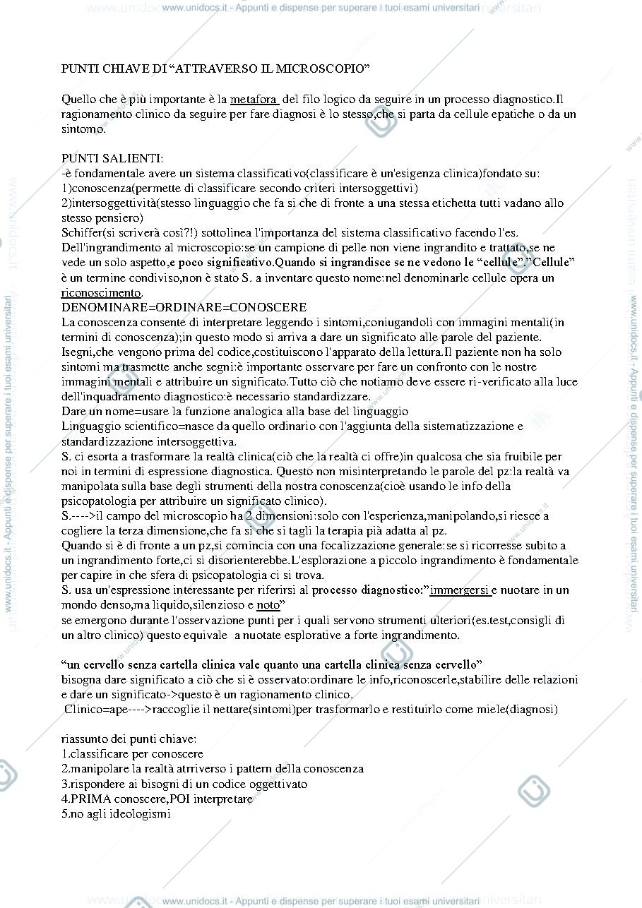 Anteprima pagina 1 — Punti chiave "Attraverso il microscopio" (Schiffer)