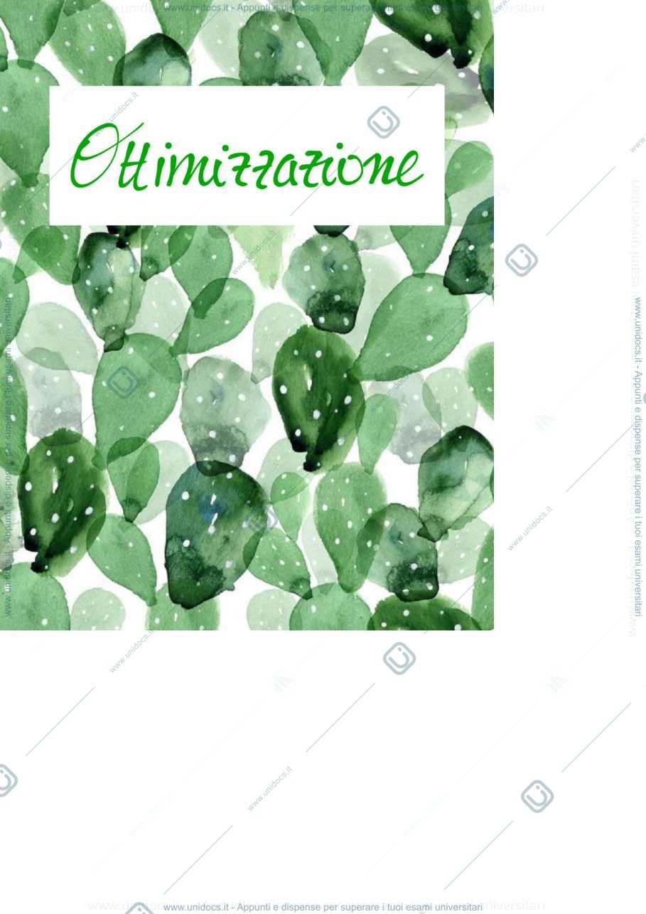 Anteprima pagina 1 — Appunti di ottimizzazione