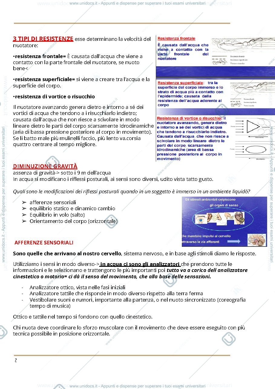 Anteprima pagina 2 — Nuoto
