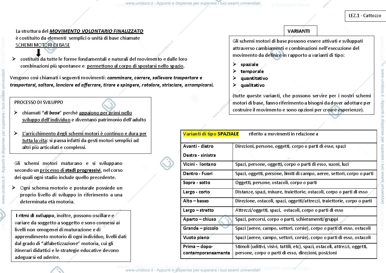 Anteprima pagina 1 — RIASSUNTO DELLE LEZIONI DEL PROFESSOR Cattozzo 