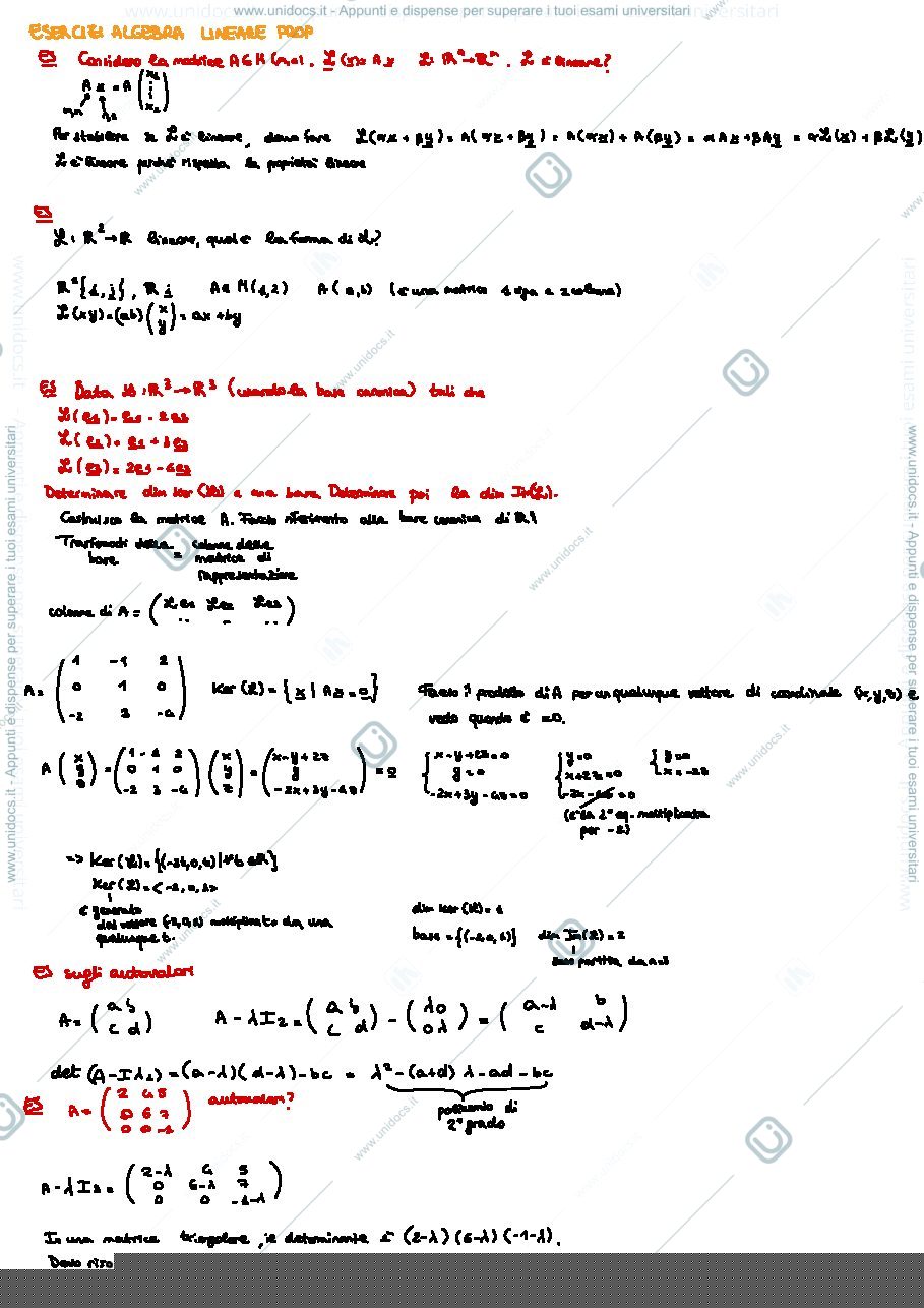 Anteprima pagina 3 — Algebra lineare 