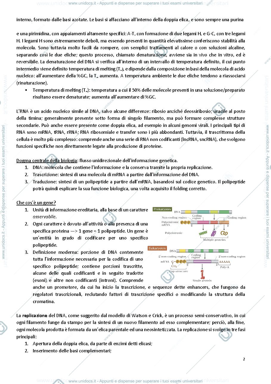 Anteprima pagina 4 — Metodi molecolari