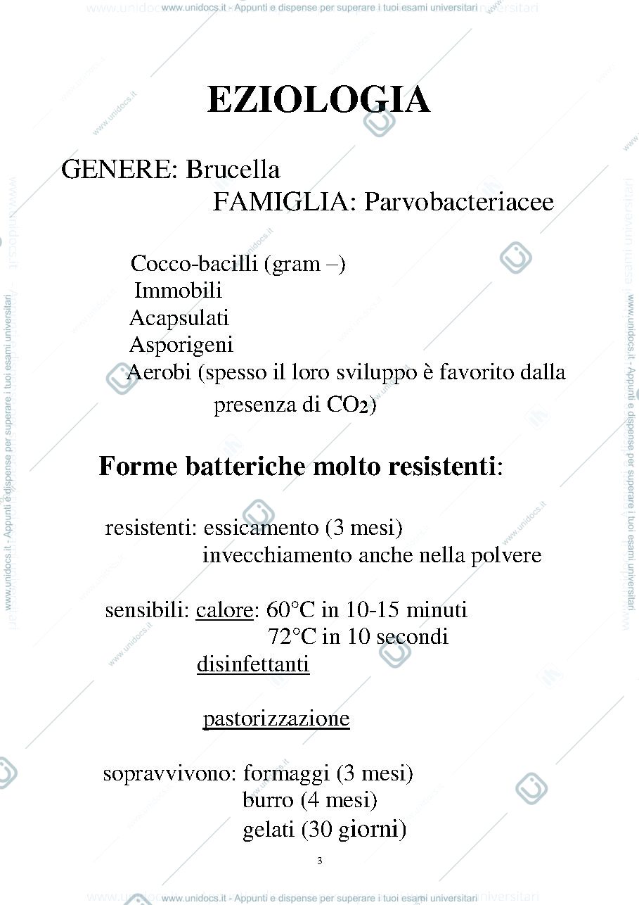 Anteprima pagina 3 — LUCIDI BRUCELLOSI