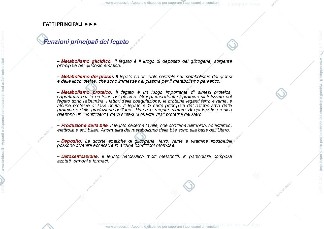 Anteprima pagina 2 — fegato