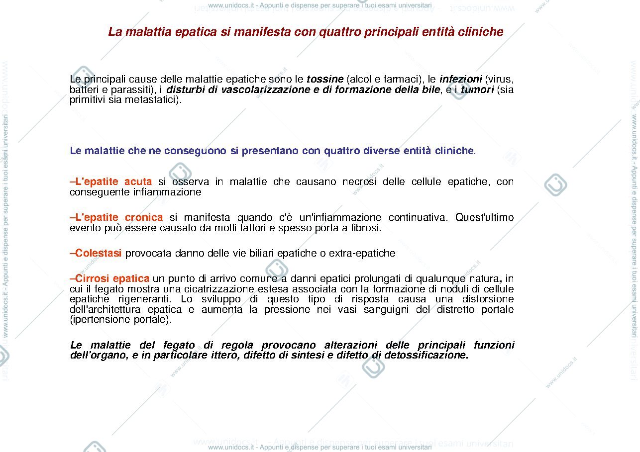 Anteprima pagina 3 — fegato