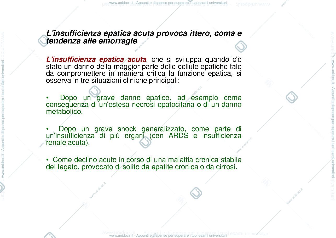 Anteprima pagina 4 — fegato