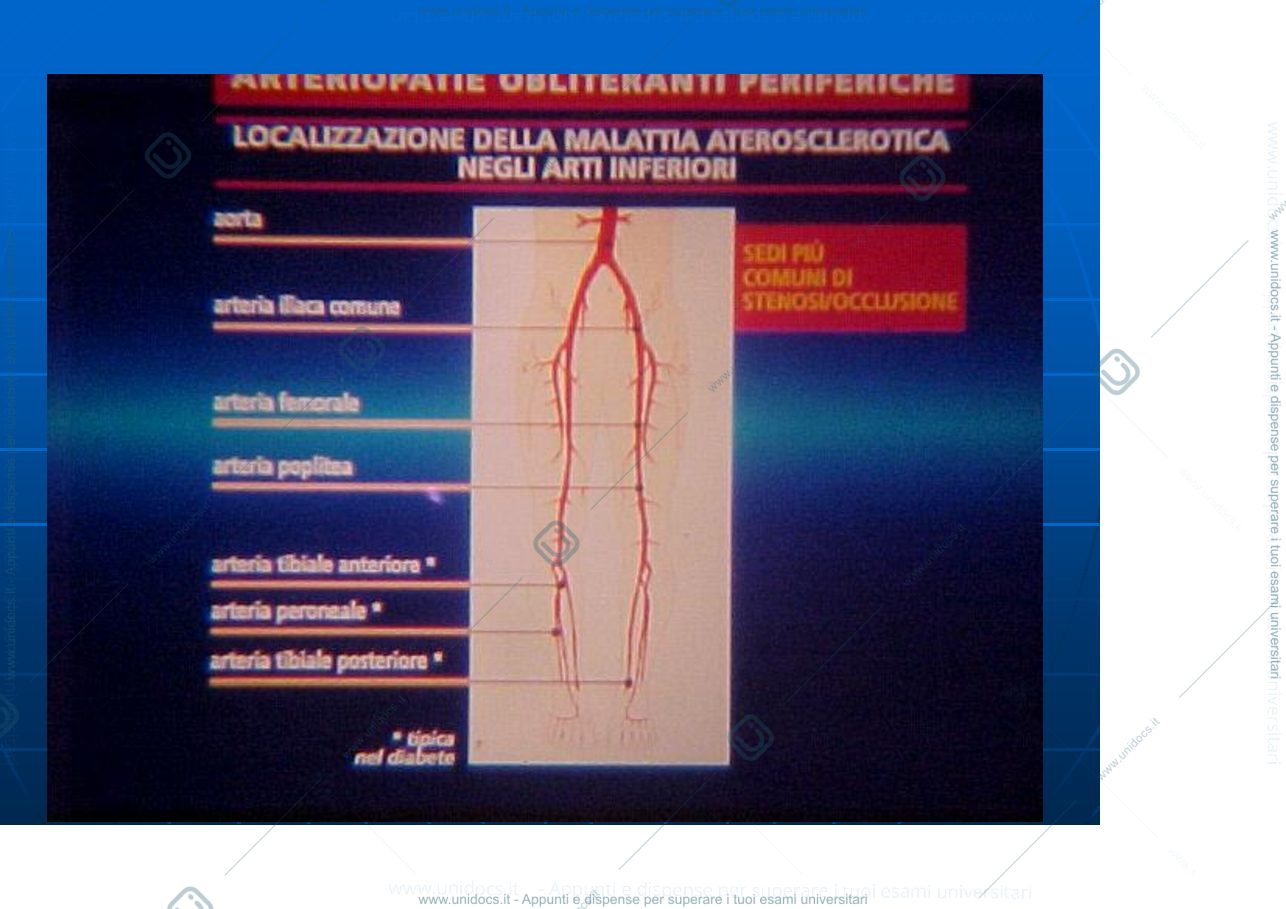 Anteprima pagina 4 — arteriopatie