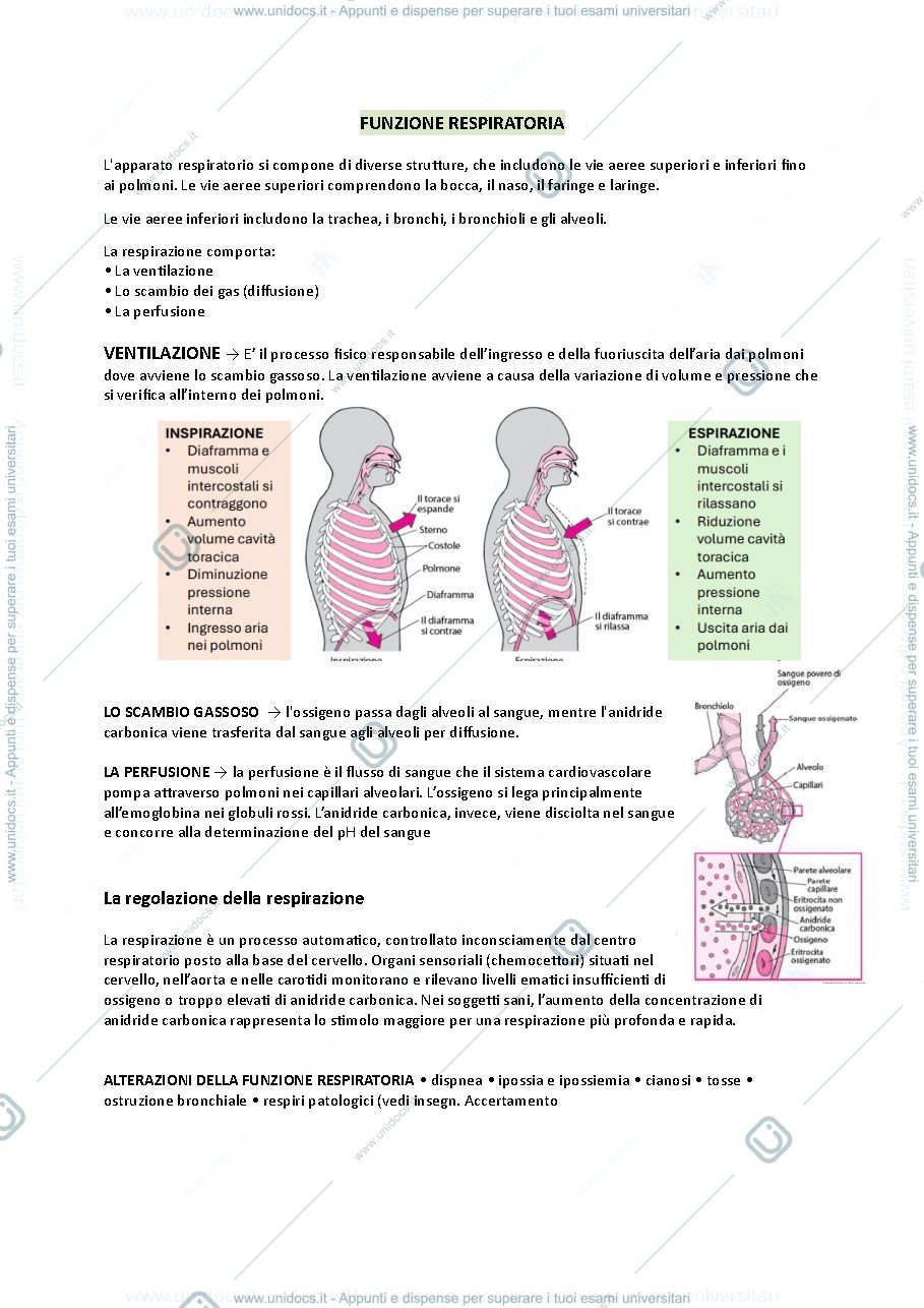 Anteprima pagina 1 — metodologia vannini valeria