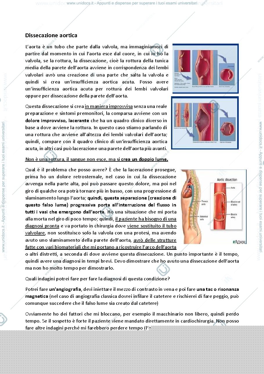 Anteprima pagina 1 — Dissecazione aortica